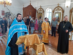 Епархиальная святыня была доставлена в Острогожский церковный округ