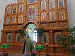 Приходы Павловского благочиния отметили День Святой Троицы праздничным богослужением