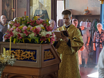 Преосвященнейший Дионисий, епископ Россошанский и Острогожский, совершил всенощное бдение в храме святых апостолов Петра и Павла села Петропавловка