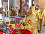 Торжественное соборное богослужение в праздник Собора Воронежских святых было совершено в Благовещенском кафедральном соборе города Воронежа