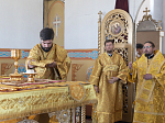 Преосвященнейший епископ Россошанский и Острогожский Дионисий возглавил Божественную литургию в Петропавловском храме села Репьёвка