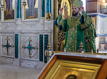 В праздник Входа Господня в Иерусалим глава Россошанской епархии совершил Литургию в Свято-Ильинском кафедральном соборе города Россоши