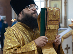 Правящий Архиерей совершил Литургию в Георгиевском храме села Терновое Острогожского района