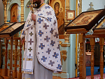Панихида по протоиерею Александру Долгушеву