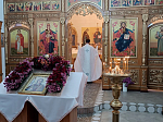 В Александровке-Донской молитвенно отметили престольный праздник