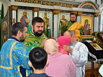 Вербное Воскресенье в Павловске