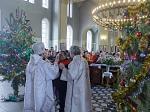 В Крещенский сочельник епископ Россошанский и Острогожский Дионисий совершил Литургию в храме Святой Живоначальной Троицы районного поселка Кантемировка