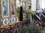 Вербное воскресенье в храме Иоанна Воина