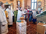Священник совершил чин Великого освящения воды в храмах сел Верхний Мамон и Осетровка