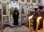 Преосвященнейший епископ Дионисий совершил Божественную литургию в Георгиевском храме села Терновое Острогожского района