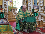 Троица в Богучарском благочинии