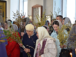В Казанском храме города Павловска прошло торжественное богослужение, посвященное празднику Входа Господня в Иерусалим