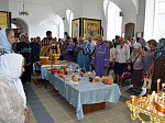 Праздничная Литургия и водосвятный молебен в Казанском храме г. Павловска