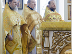 Архипастырь возглавил торжества, посвященные 20-летию со дня Великого освящения храма во имя святителя Митрофана, первого епископа Воронежского села Верхний Мамон