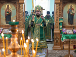 Епископ Дионисий возглавил престольное торжество храма святого благоверного князя Александра Невского с. Петровка