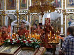 Преосвященнейший епископ Дионисий совершил Божественную литургию в Георгиевском храме села Терновое Острогожского района