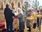 Праздничное богослужение и чин Великого освящения воды на приходах села Верхний Мамон и Дерезовка
