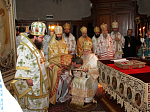 Епископ Россошанский и Острогожский Андрей принял участии в хиротонии епископа Мохачского Исихия (Сербская Православная Церковь)