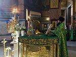 В праздник Входа Господня в Иерусалим глава Россошанской епархии совершил Литургию в Свято-Ильинском кафедральном соборе города Россоши