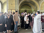 В день Святого Духа — молитва перед экзаменами