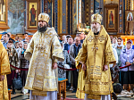 В Воронежской митрополии началось празднование памяти Собора Воронежских святых