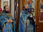 Знаменский крестный ход в Павловском благочинии