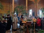 Правящий Архиерей возглавил торжественное богослужение в Свято-Троицком храме села Лозовое Верхнемамонского района