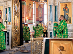 В праздник Входа Господня в Иерусалим Правящий Архиерей совершил Божественную литургию в Ильинском кафедральном соборе Россоши