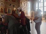 Паломники из Верхнемамонского района поклонились мощам святой блаженной Матроны Московской