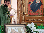 Вербное Воскресенье в Павловске