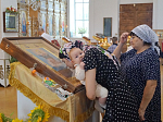 Ильинский казачий крестный ход с чтимым образом Божией Матери «Спорительница хлебов» прошел по Верхнемамонской земле
