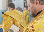 Архипастырь совершил Божественную литургию в храме Благовещения Пресвятой Богородицы села Лосево Павловского района