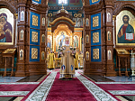 В день памяти святителя Антония (Смирницкого), архиепископа Воронежского, митрополит Воронежский и Лискинcкий Сергий возглавил служение Божественной литургии