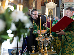 В канун праздника Святой Троицы Преосвященнейший епископ Дионисий совершил всенощное бдение в Свято-Ильинском кафедральном соборе г. Россошь