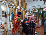 В храме Великомученика Георгия села Терновое Острогожского благочиния представили нового настоятеля