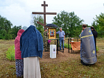 "Спорительница хлебов" прошествовала по Богучарской земле