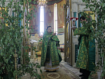 В Пятидесятницу в Свято-Ильинском соборе совершили праздничные богослужения