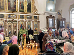 Праздник Входа Господня во Иерусалим в храме святого мученика Иоанна Воина города Богучара
