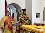 Соборное богослужение в главном храме Павловского благочиния