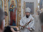 Архипастырский визит в Богучарское благочиние