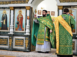 Вербное Воскресенье в Павловске