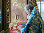 Епископ Россошанский и Острогожский Андрей сослужил митрополиту Воронежскому и Лискинскому Сергию в день престольного праздника в Покровском соборе г. Воронежа