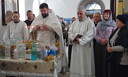 Сретение в Павловске