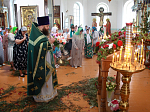 Праздник Троицы в Каменке