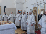 Архипастырский визит в Богучарское благочиние