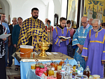 Праздничная Литургия и водосвятный молебен в Казанском храме г. Павловска