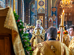 Епископ Россошанский и Острогожский Дионисий в числе сонма Архипастырей совершил Божественную литургию в Благовещенском кафедральном соборе г. Воронежа