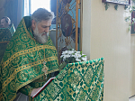 В праздник Святой Троицы Правящий Архиерей совершил Литургию в Свято-Троицком храме г. Россоши