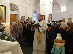 В Тихоновском храме г. Острогожска встретили праздник Богоявления