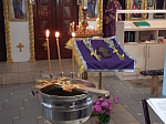В Богучарском районе отметили Медовый Спас: состоялось праздничное богослужение и освящение меда